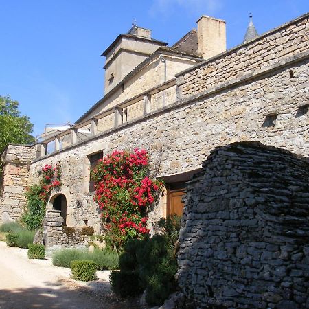 Chateau De Laumiere Promilhanes Bagian luar foto