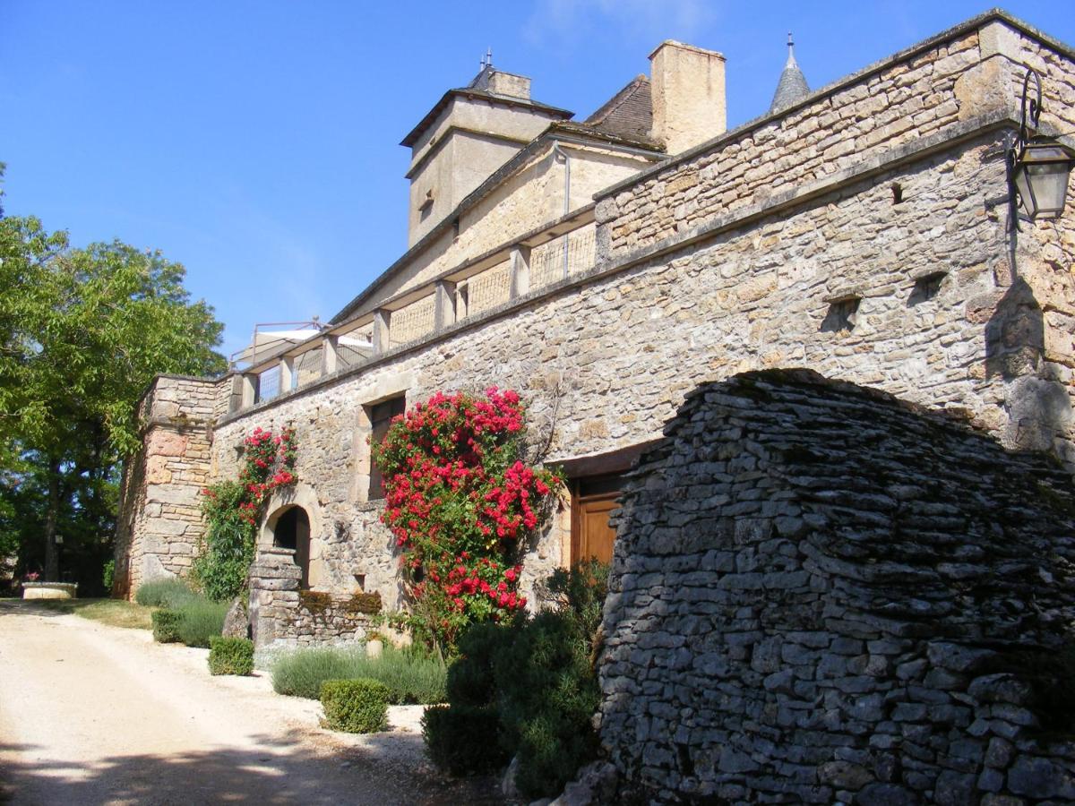 Chateau De Laumiere Promilhanes Bagian luar foto
