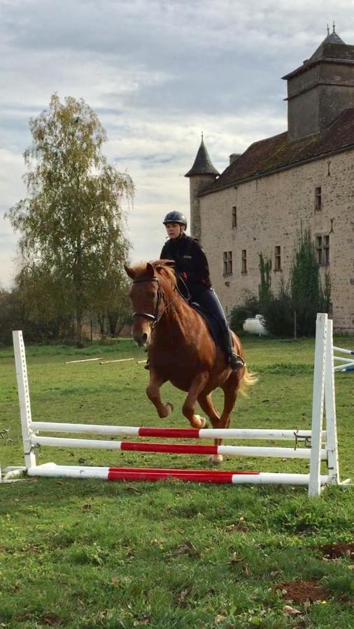 Chateau De Laumiere Promilhanes Bagian luar foto
